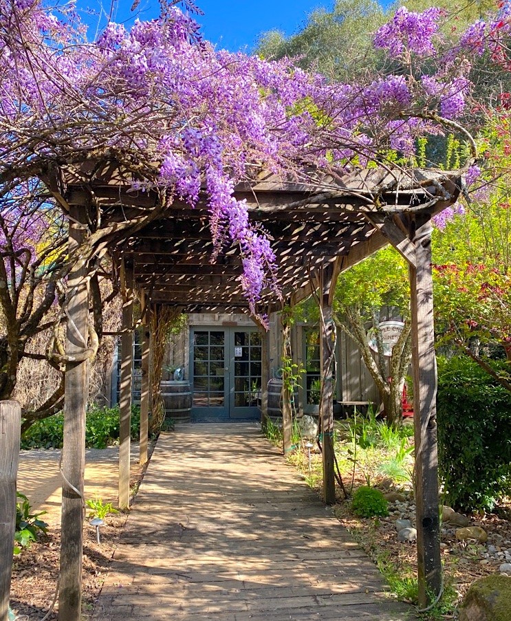 Exterior shot of Artevino Winery