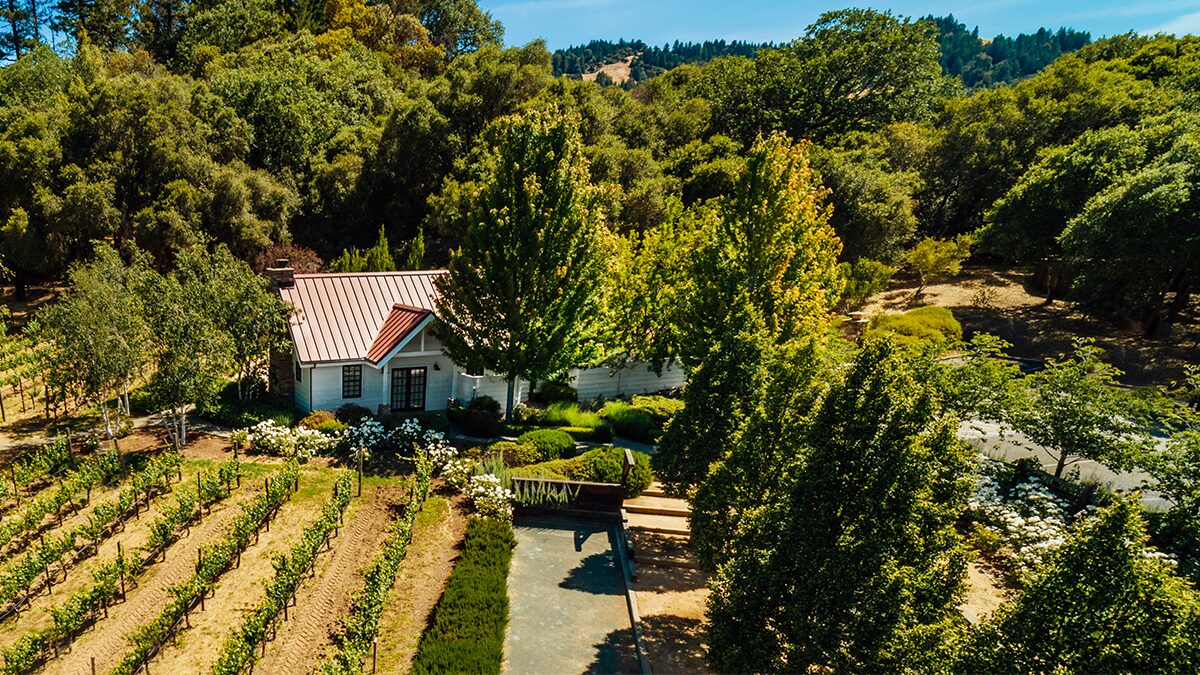 Ariel shot of a small house surrounded by vineyard rows