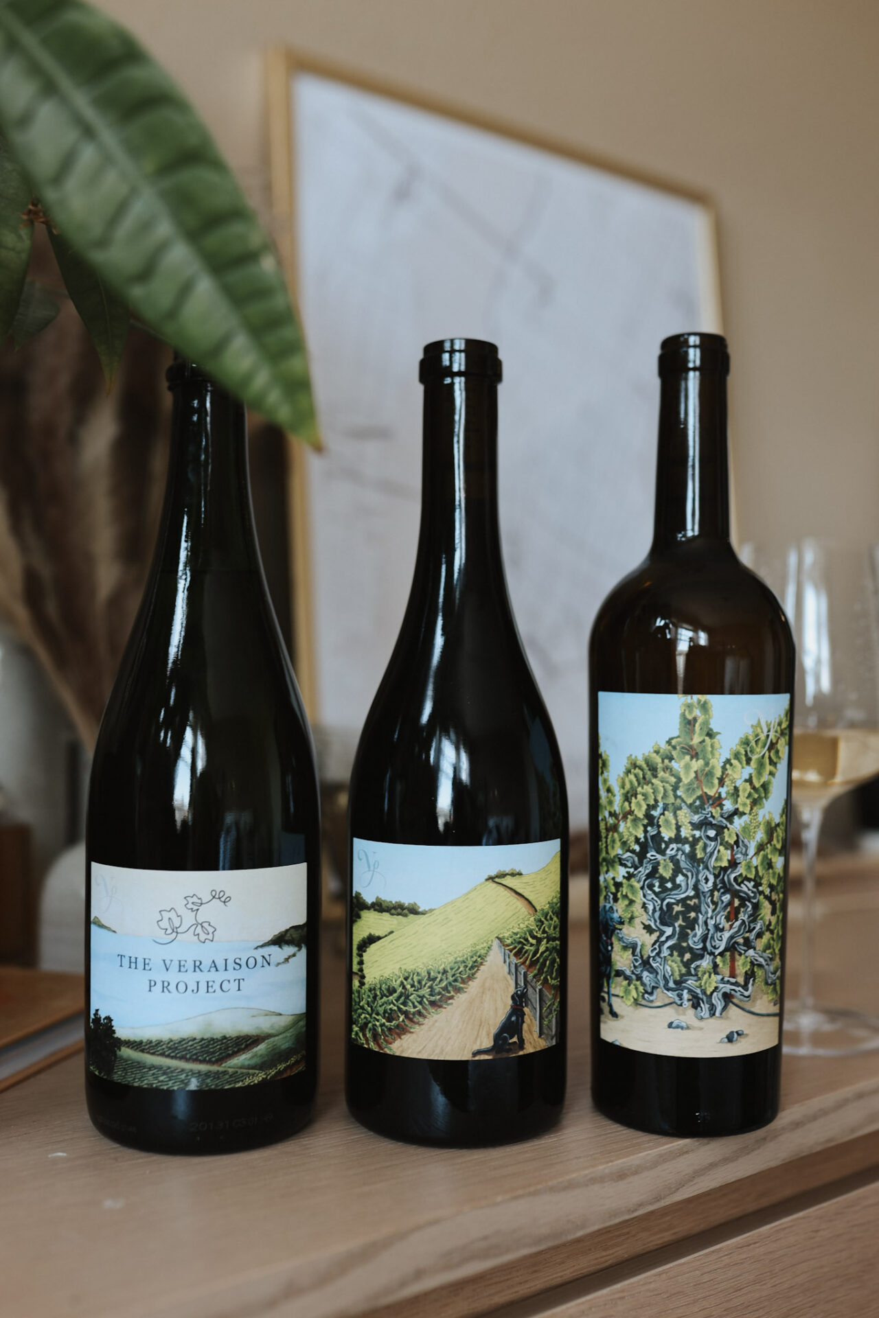Violet's Paradise Wine Lineup