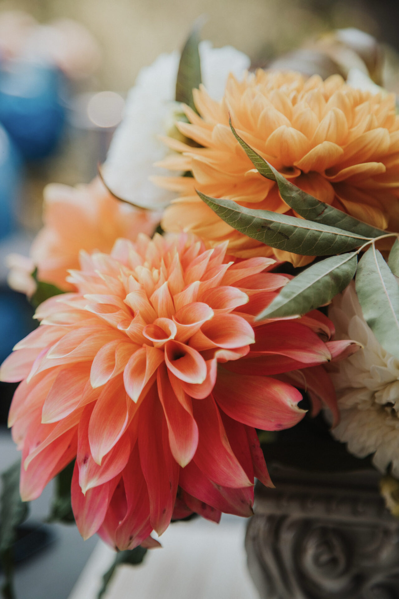 pink orange flowers