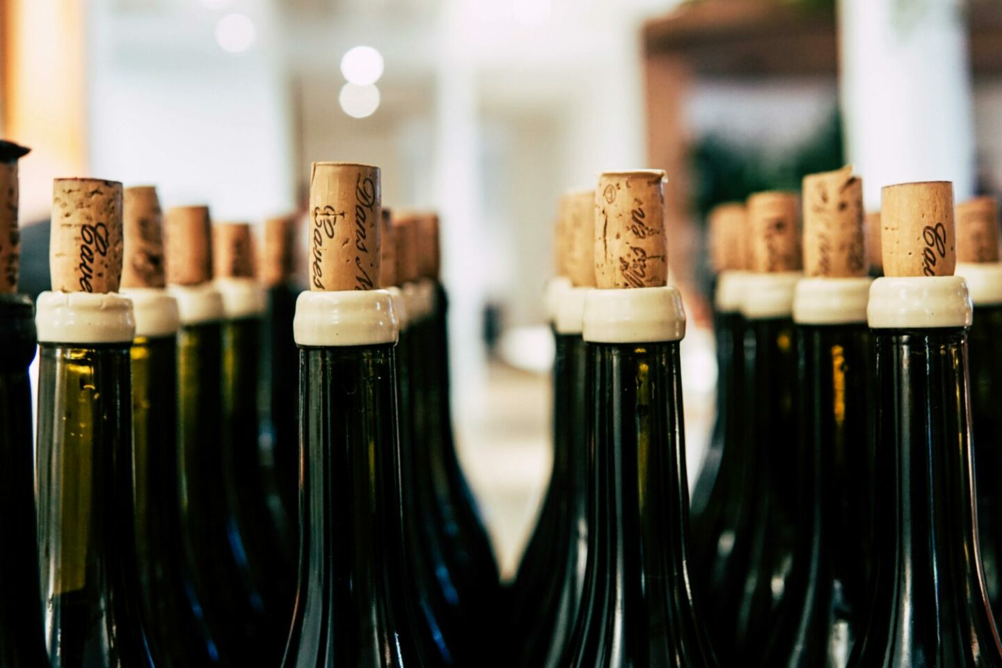 Safe Driving Tips For Those Planning A US Winery Tour