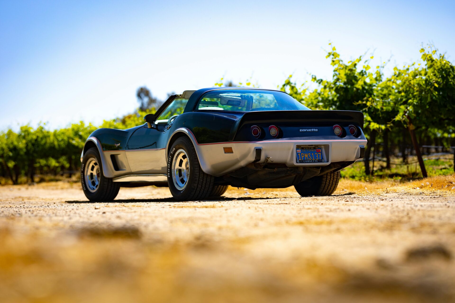 corvette in the vineyards