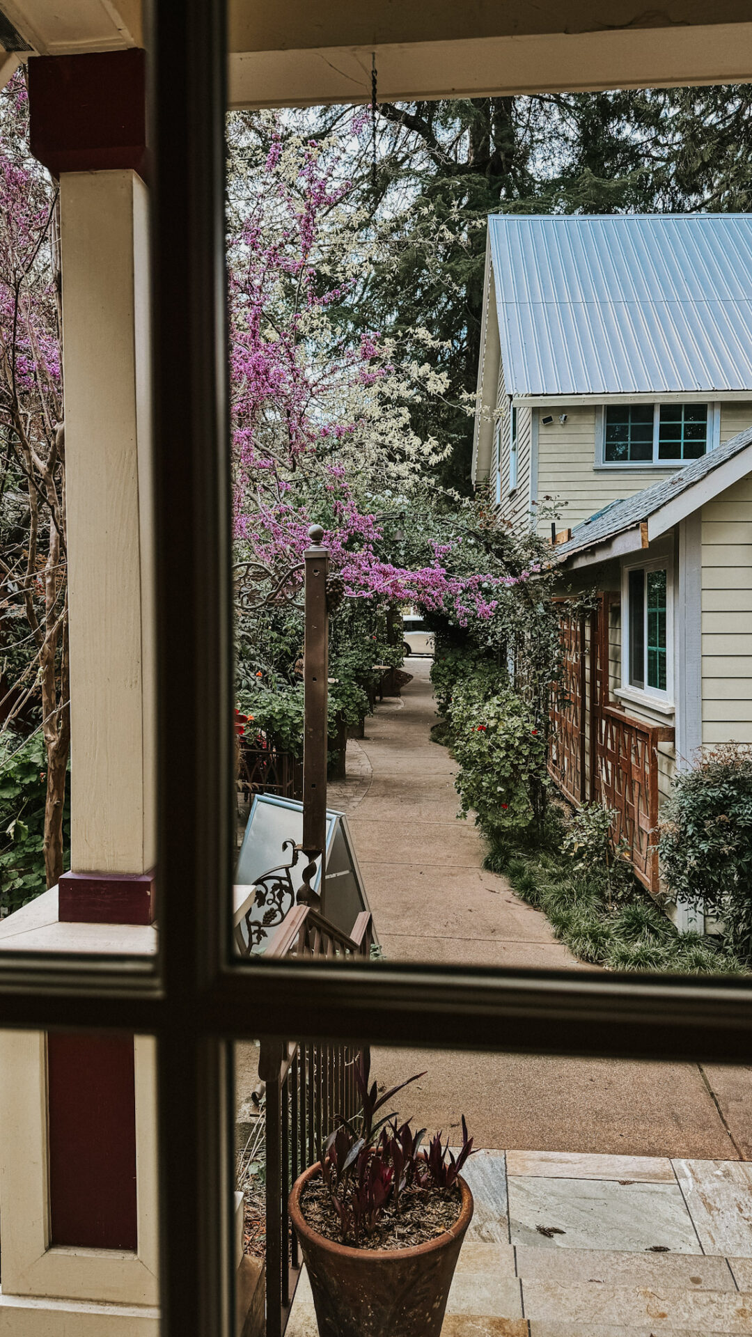 Cozy view from the Romeo Cellars tasting room in Calistoga