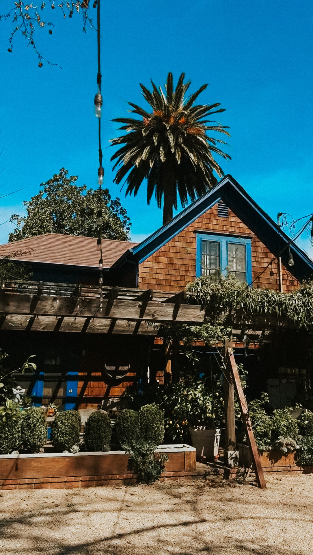 Canard Vineyards Calistoga Tasting Room