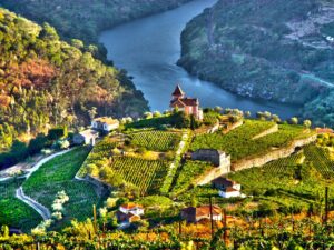 Douro Valley Wine region