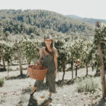 Paige harvesting Sangiovese grapes in the Chianti Classico region