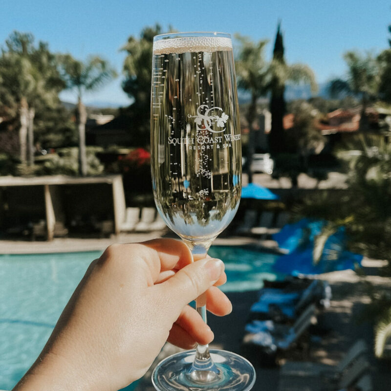 South Coast Winery champagne flute in front of pool on sunny day