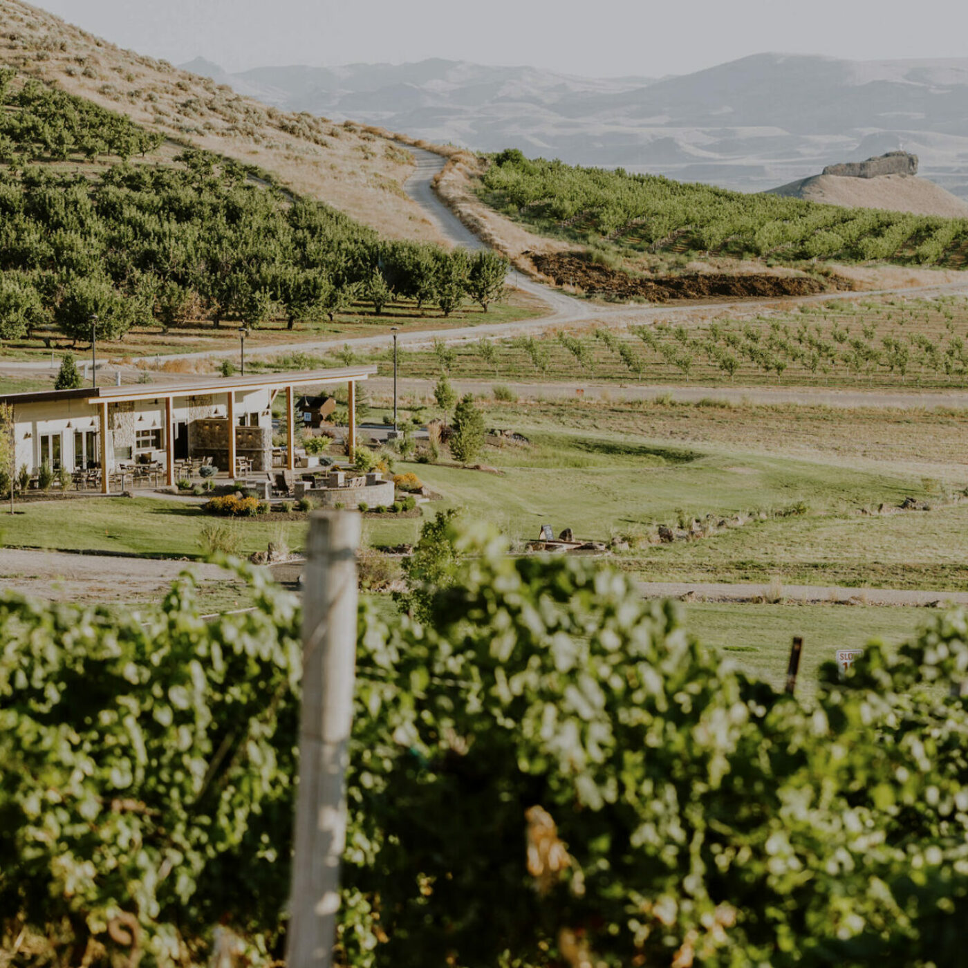 Sawtooth winery on the Sunnyslope Wine Trail near Boise, Idaho